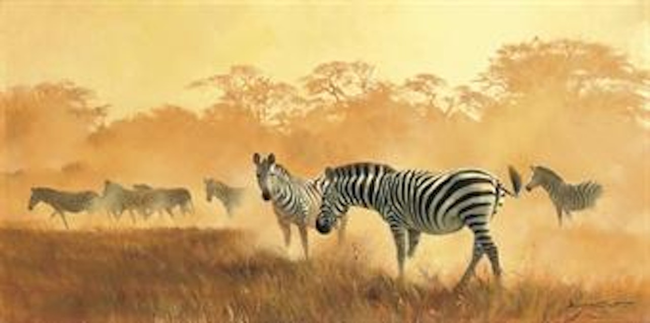 Zebra by Donald Grant