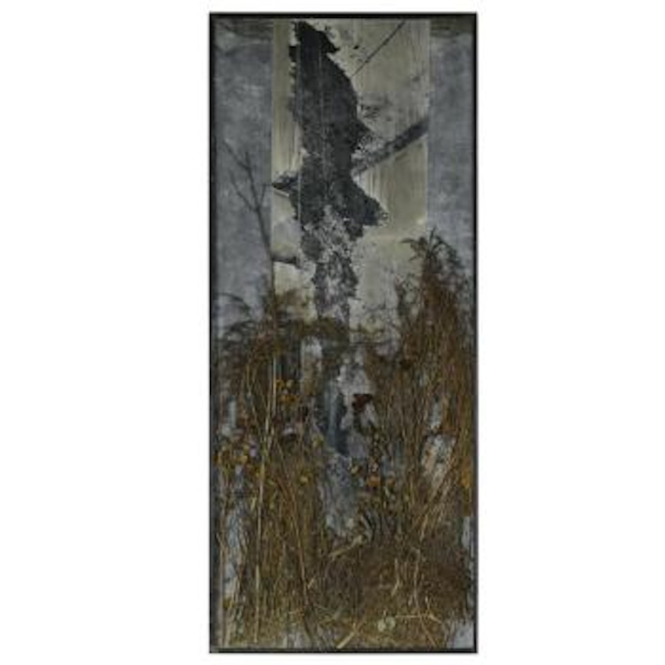 Der eingeborene (the native) by Anselm Kiefer