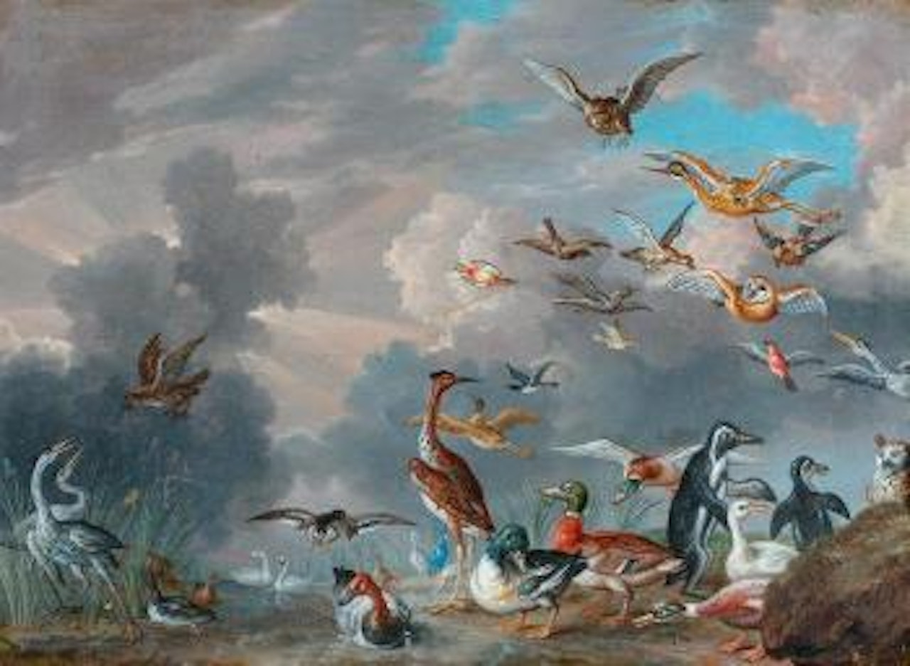 Ansicht von Vogelvieh by Jan Van Kessel The Elder