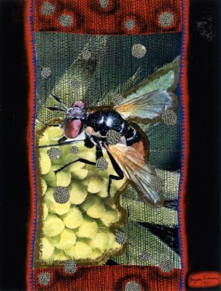 Insect by Yayoi Kusama