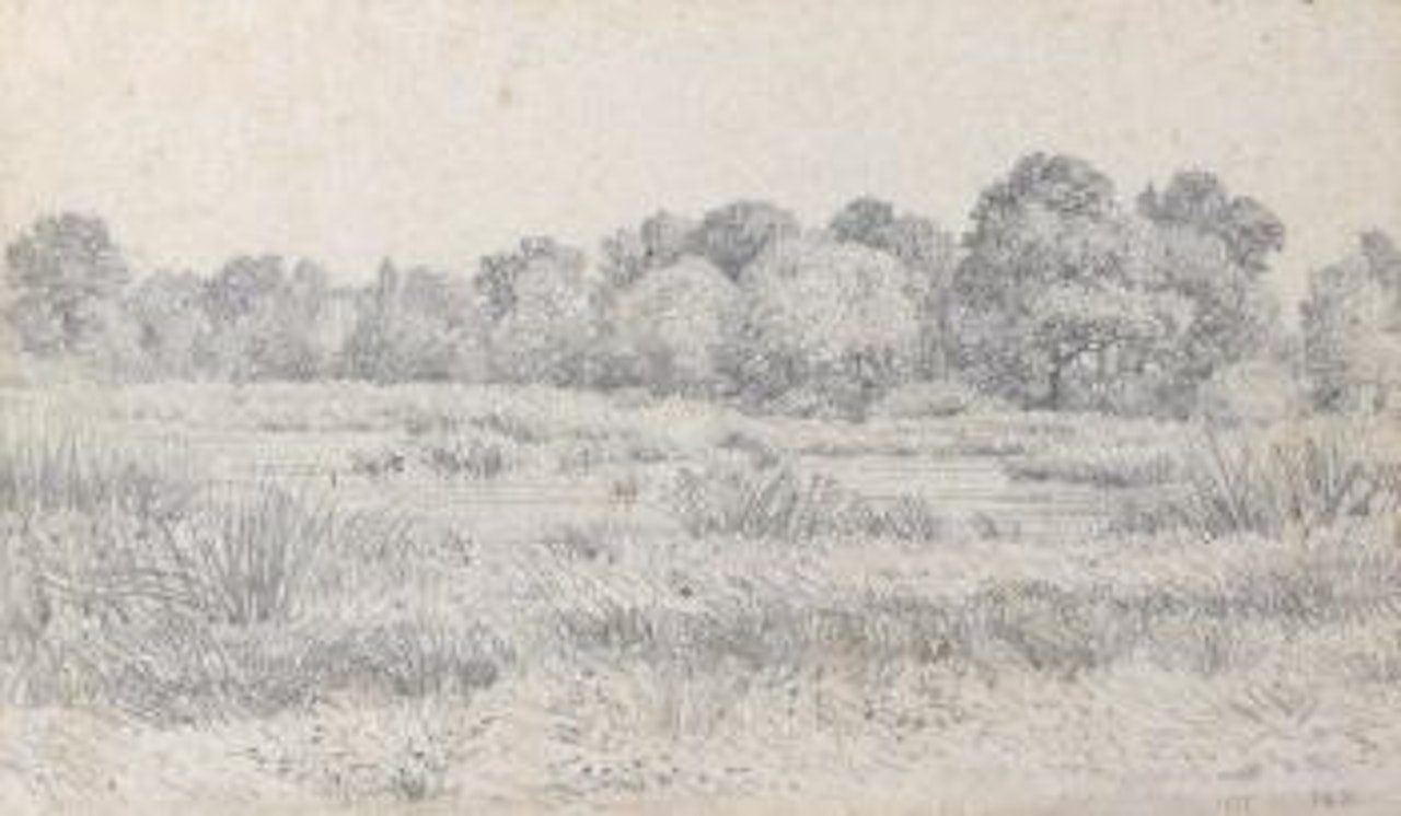 Étang en lisière de bois by Théodore Rousseau