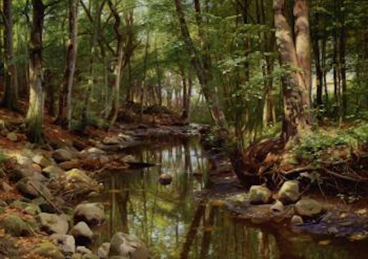 Woodland scene with a stream by Peder Mork Monsted