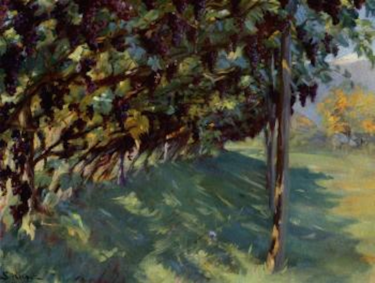 Voxende Vinranker med modne Druer. Vine with ripe grapes by Peder Severin Kröyer