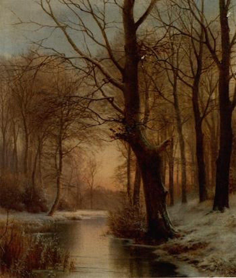 Late afternoon in a forest with a frozen brook by Anders Andersen-Lundby