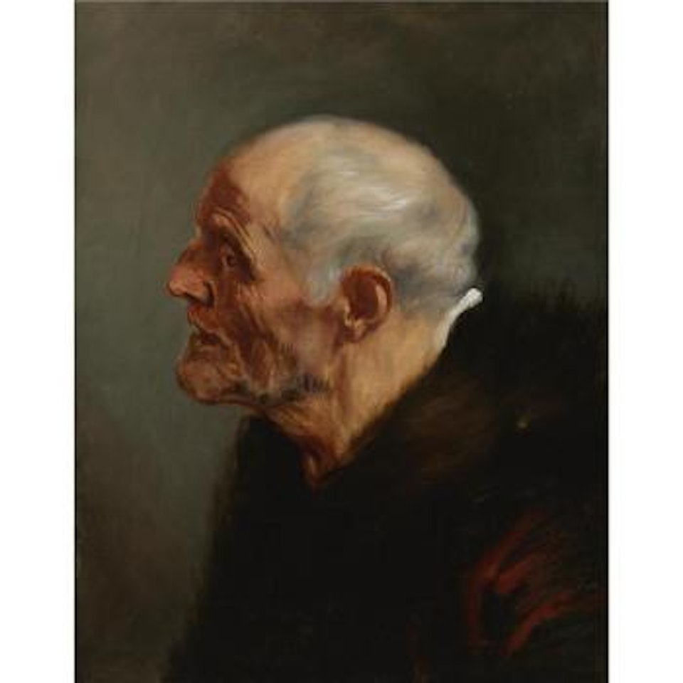 Head of an old man by Peter Paul Rubens