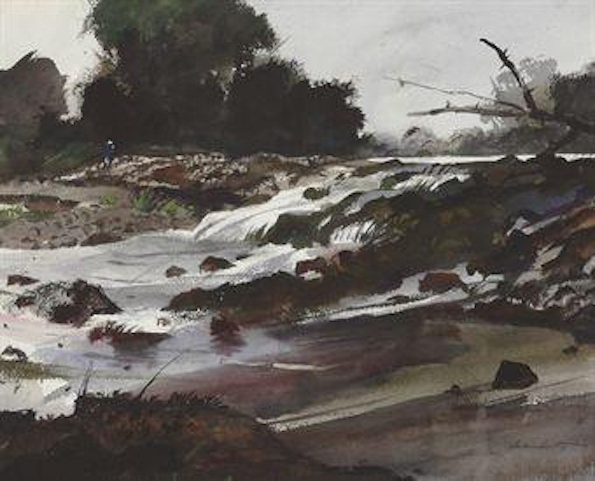 The Falls of Brandywine by Andrew Wyeth