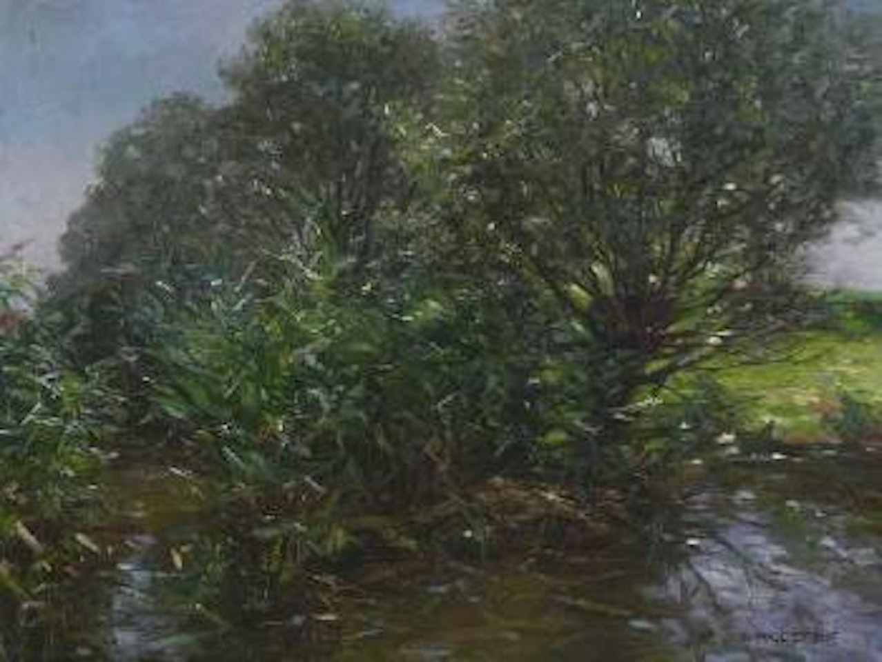 Schilf am Seeufer by Alexander Koester