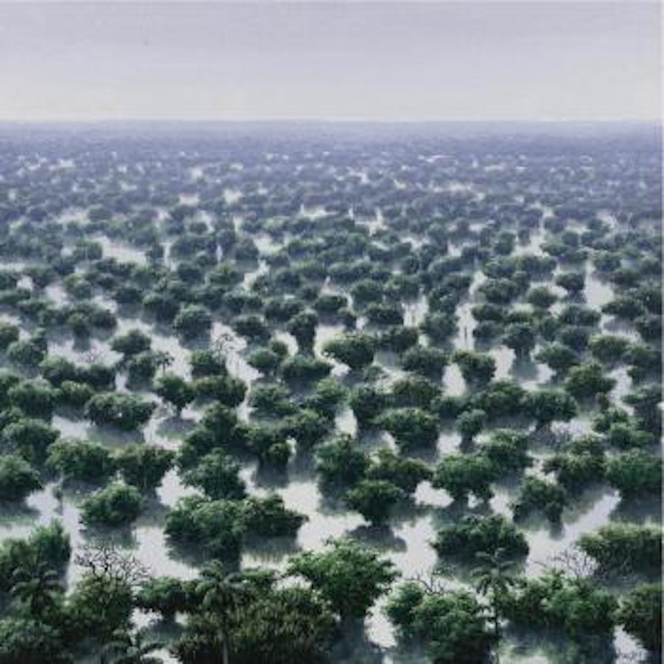 Inundación by Tomas Sanchez