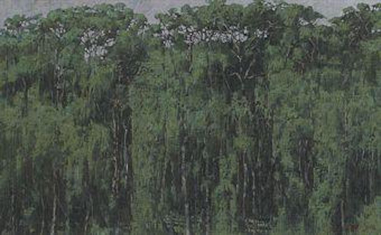 Rain Forest by Armando Morales