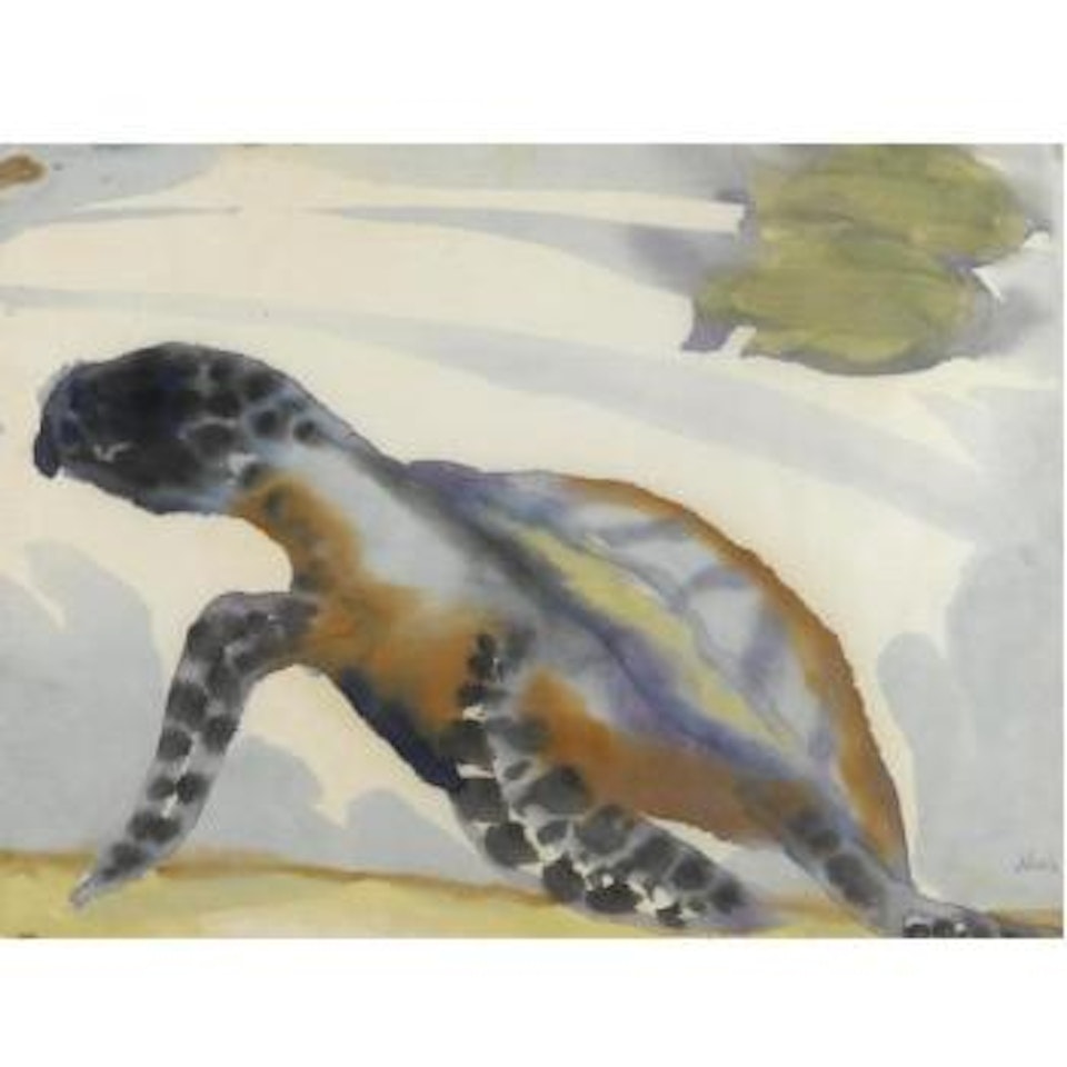 Schildkröte (Turtle) by Emil Nolde