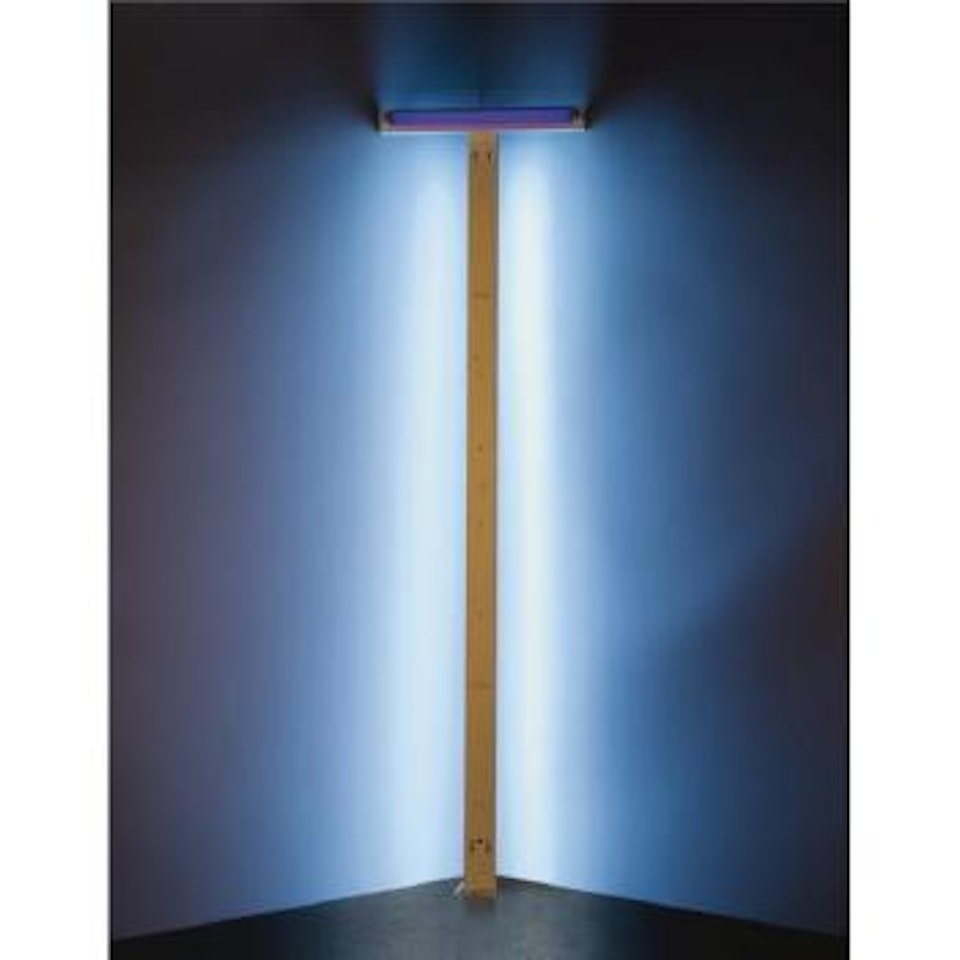 Untitled by Dan Flavin