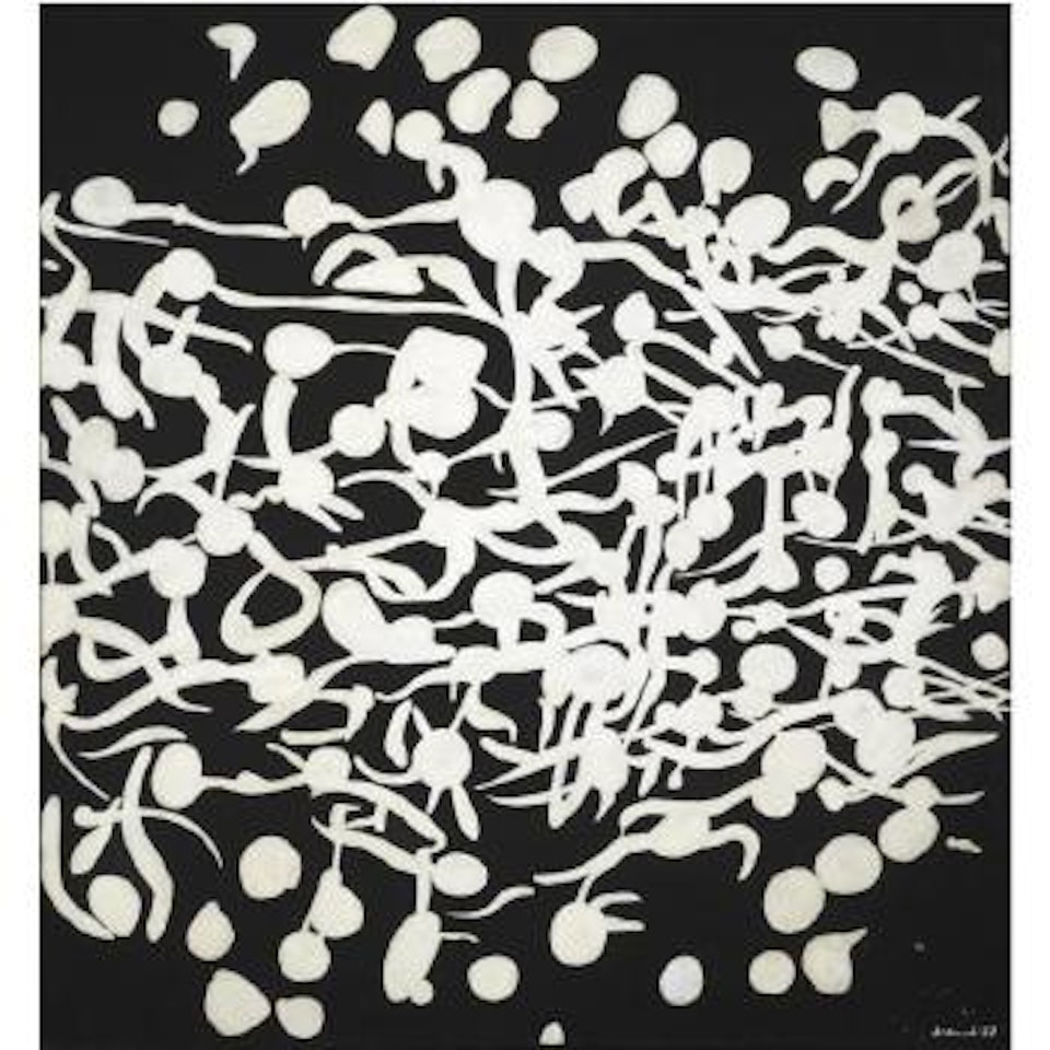 Integrazione by Carla Accardi