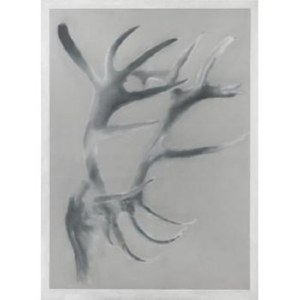 Geweih (Antlers) by Gerhard Richter