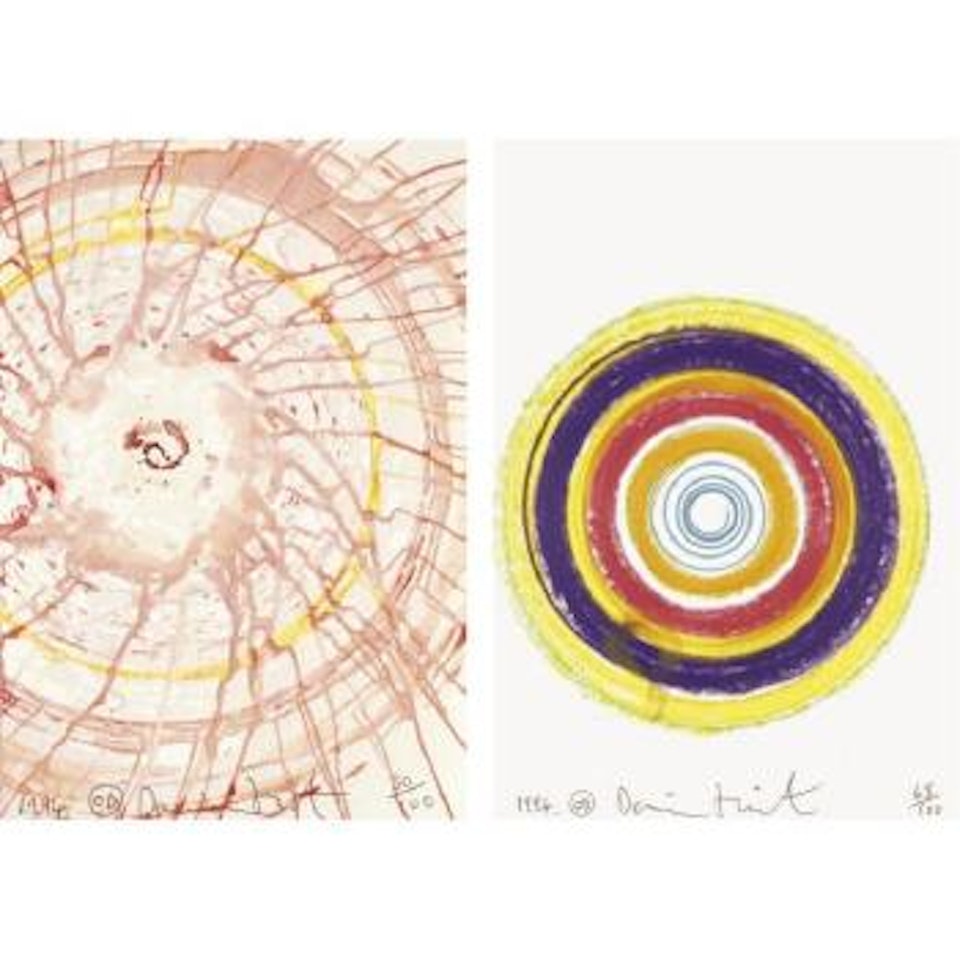 Untitled (Two Spin Drawings) by Damien Hirst