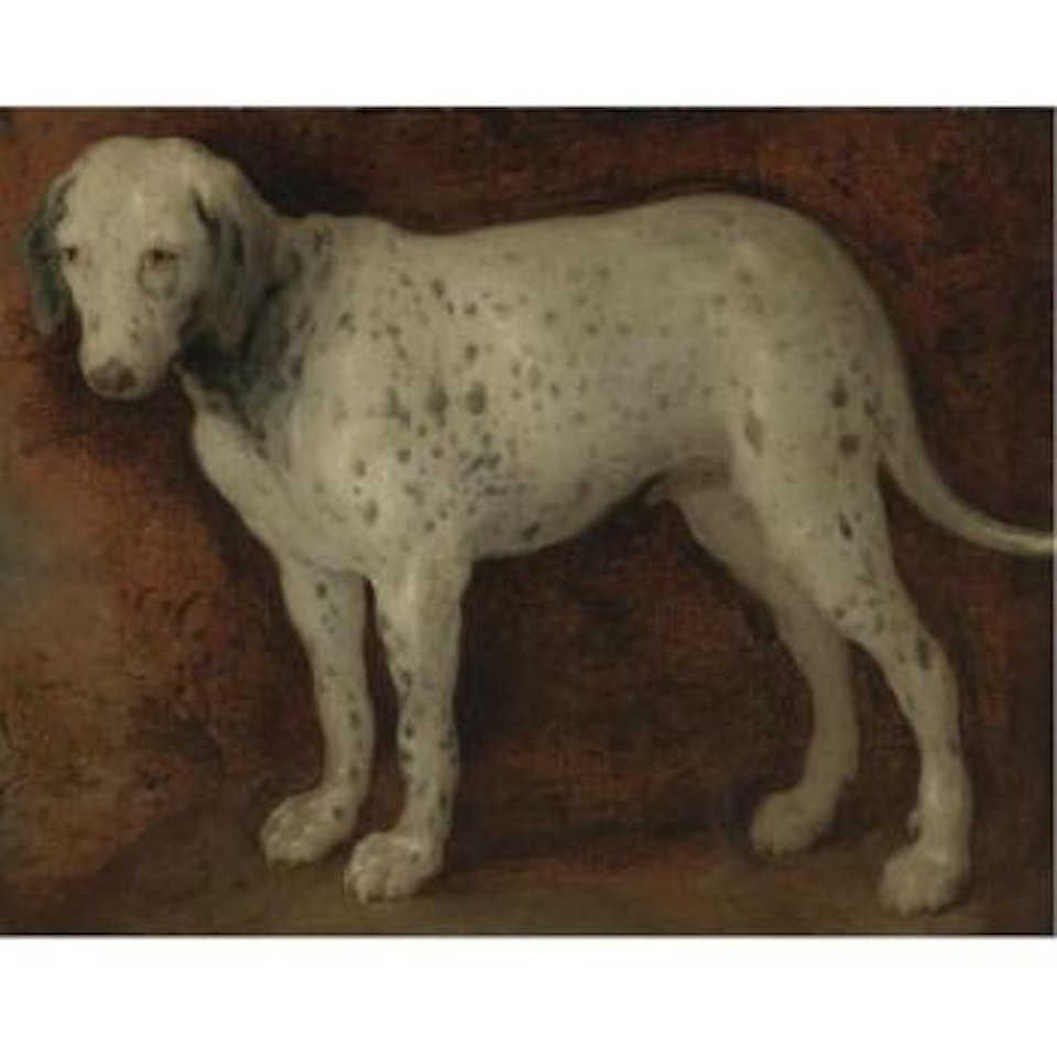 Portrait Of A Hound by Spanish School