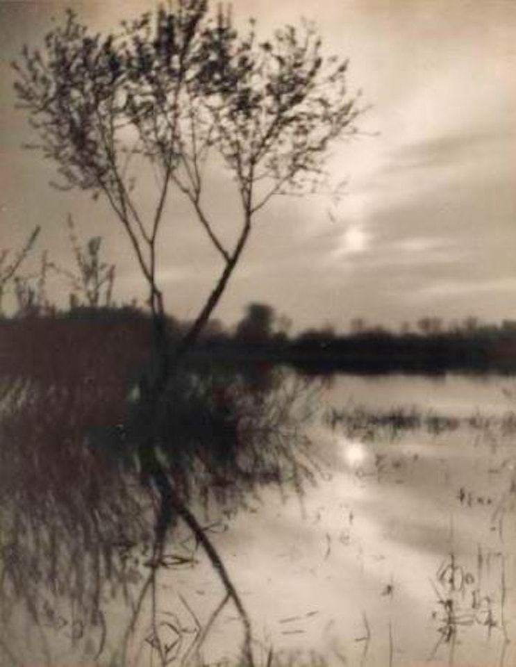 Untitled (trees with reflections) by Josef Sudek