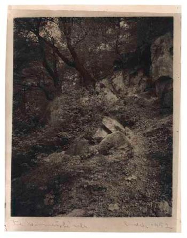 Ze seminárské zahrady by Josef Sudek