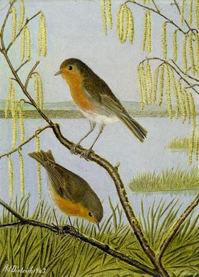 Zwei Rotkehlchen by Adolf Dietrich