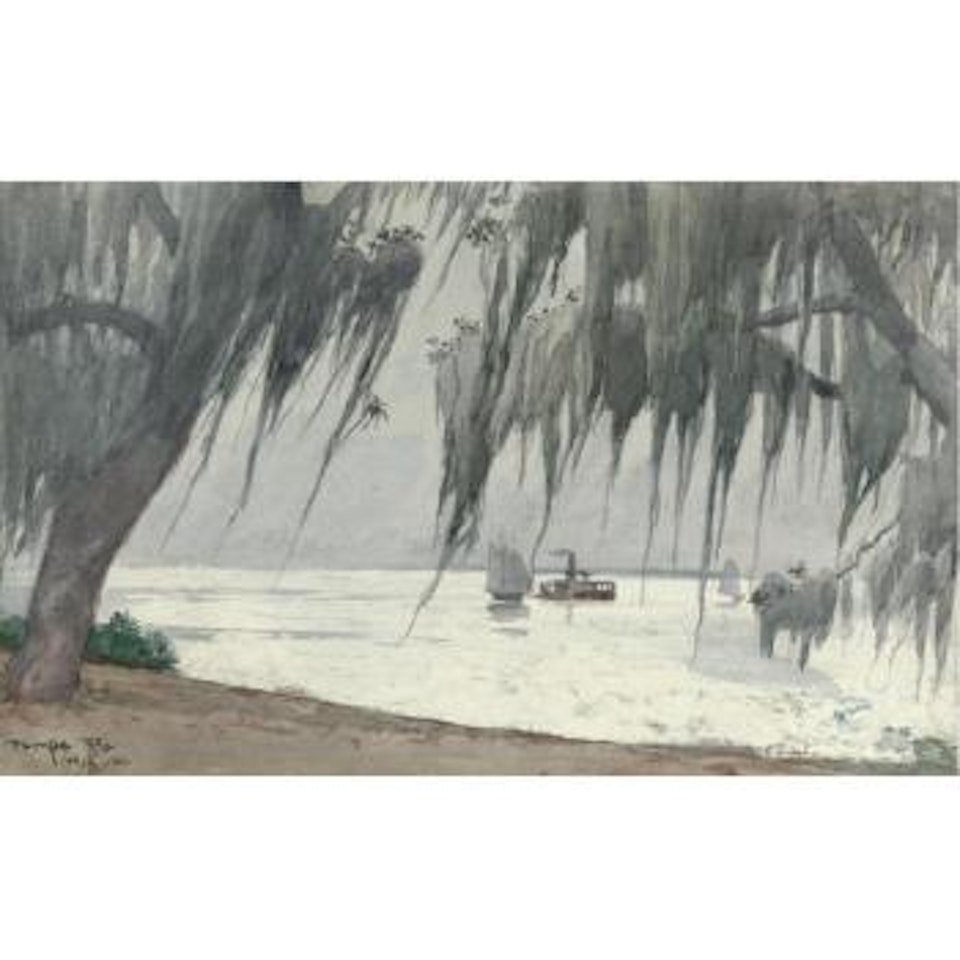 Spanish Moss At Tampa by Winslow Homer