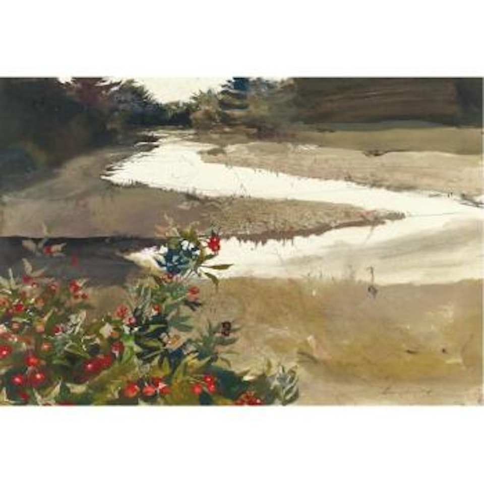 Rose Hips (Study For Back Water) by Andrew Wyeth