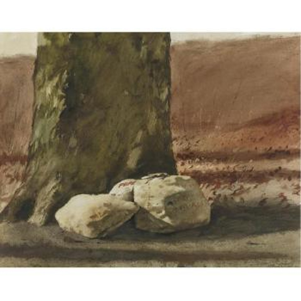 Apple Bags (Walnut Bags) by James Brown Wyeth