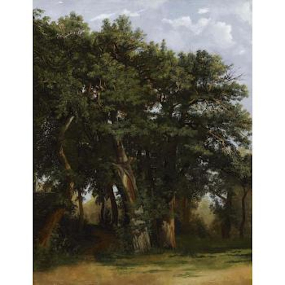 Groupe De Chênes by Alexandre Calame