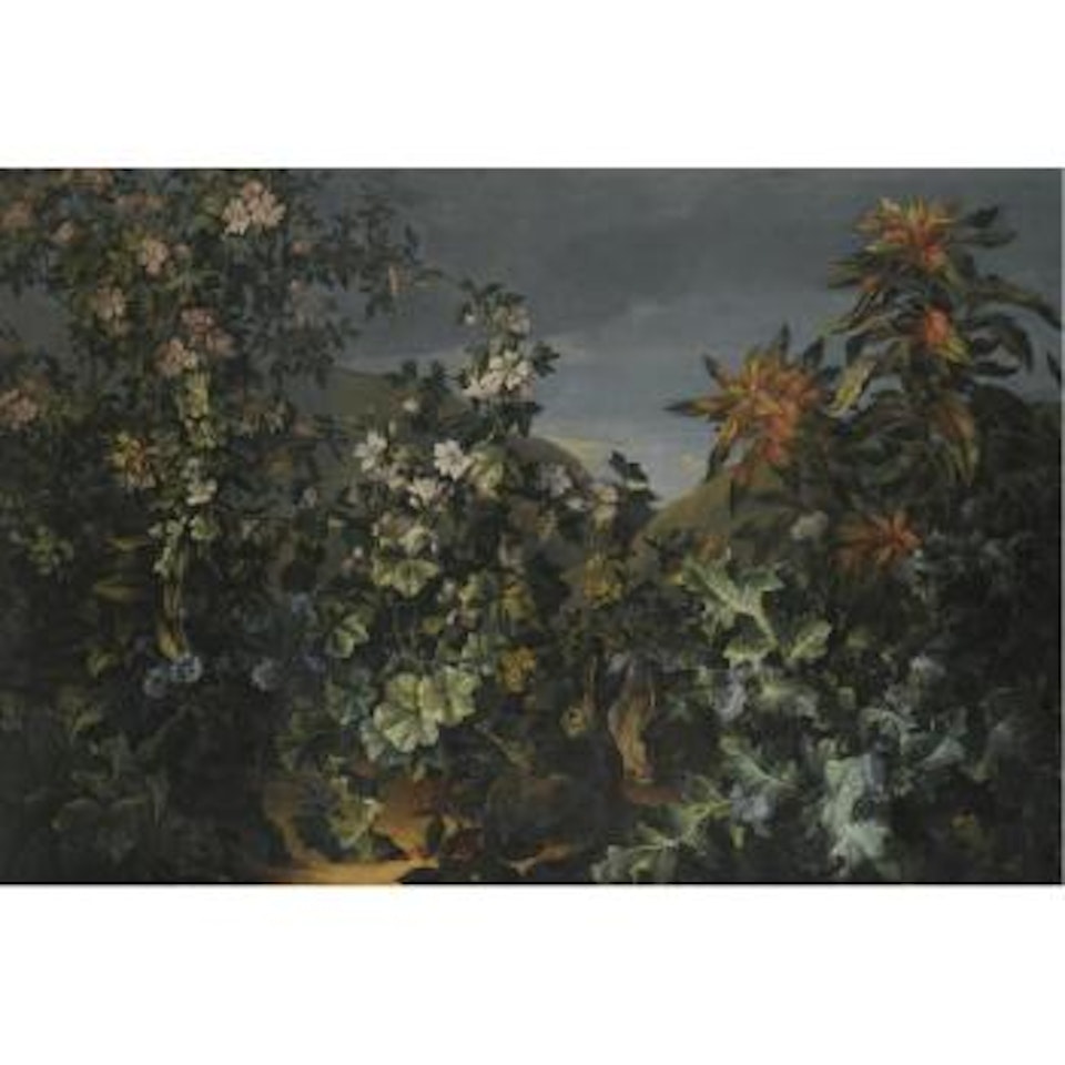 A Woodland Scene With Rabbits And Guinea Pigs Amongst The Undergrowth by French School