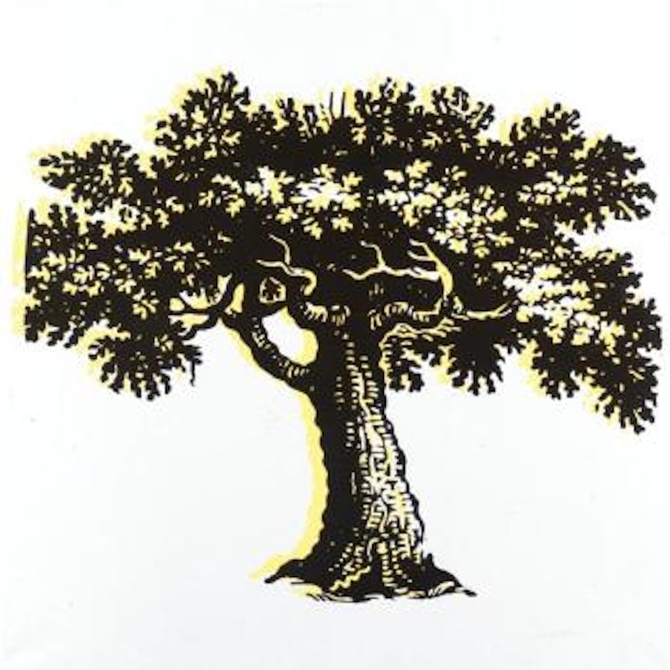 Senza Titolo by Mario Schifano