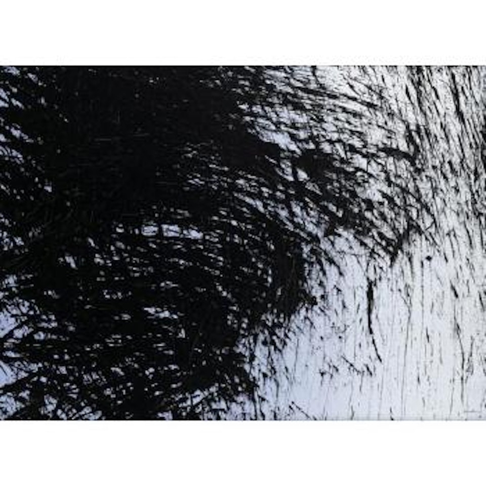 T1981-K5 by Hans Hartung