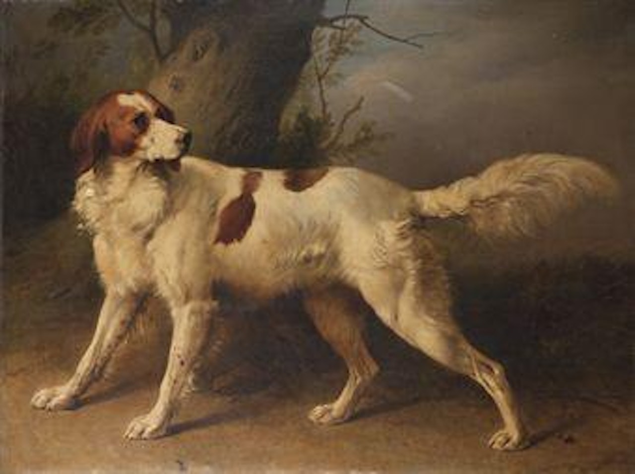 Epagneul by Eugène Joseph Verboeckhoven