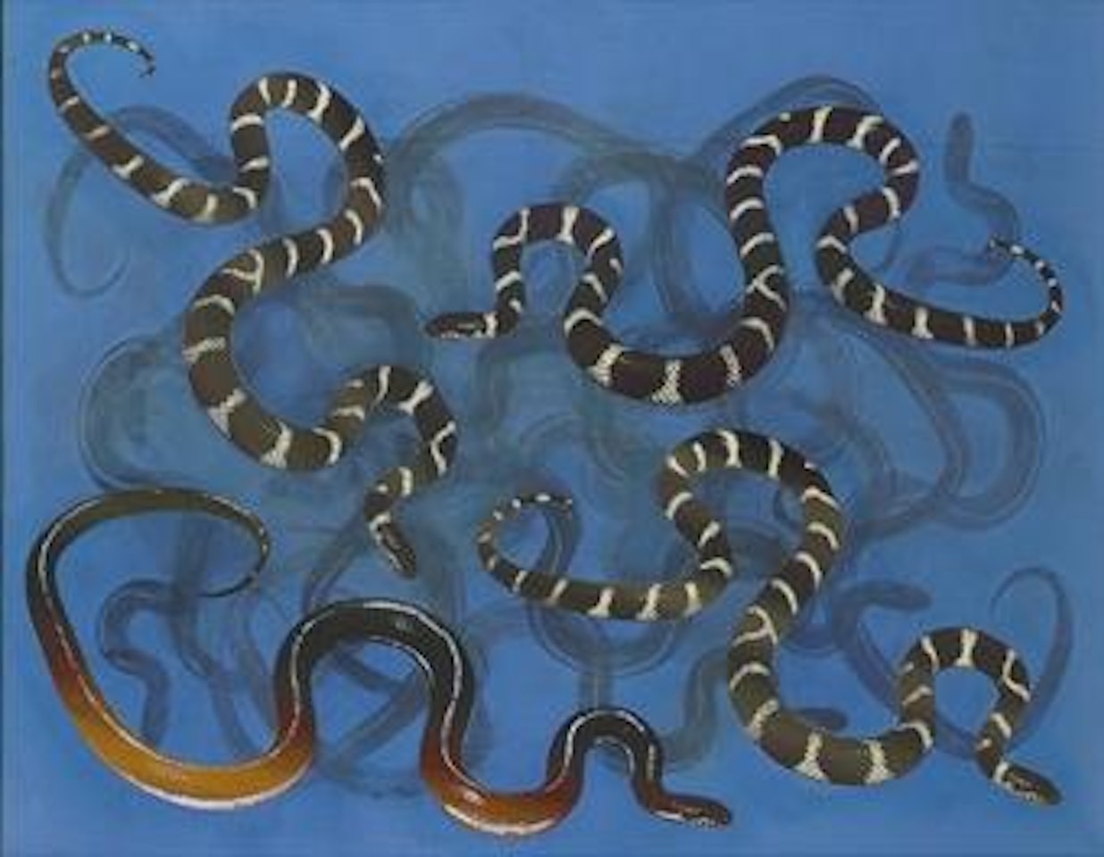 King Snakes in Blue by Philip Taaffe