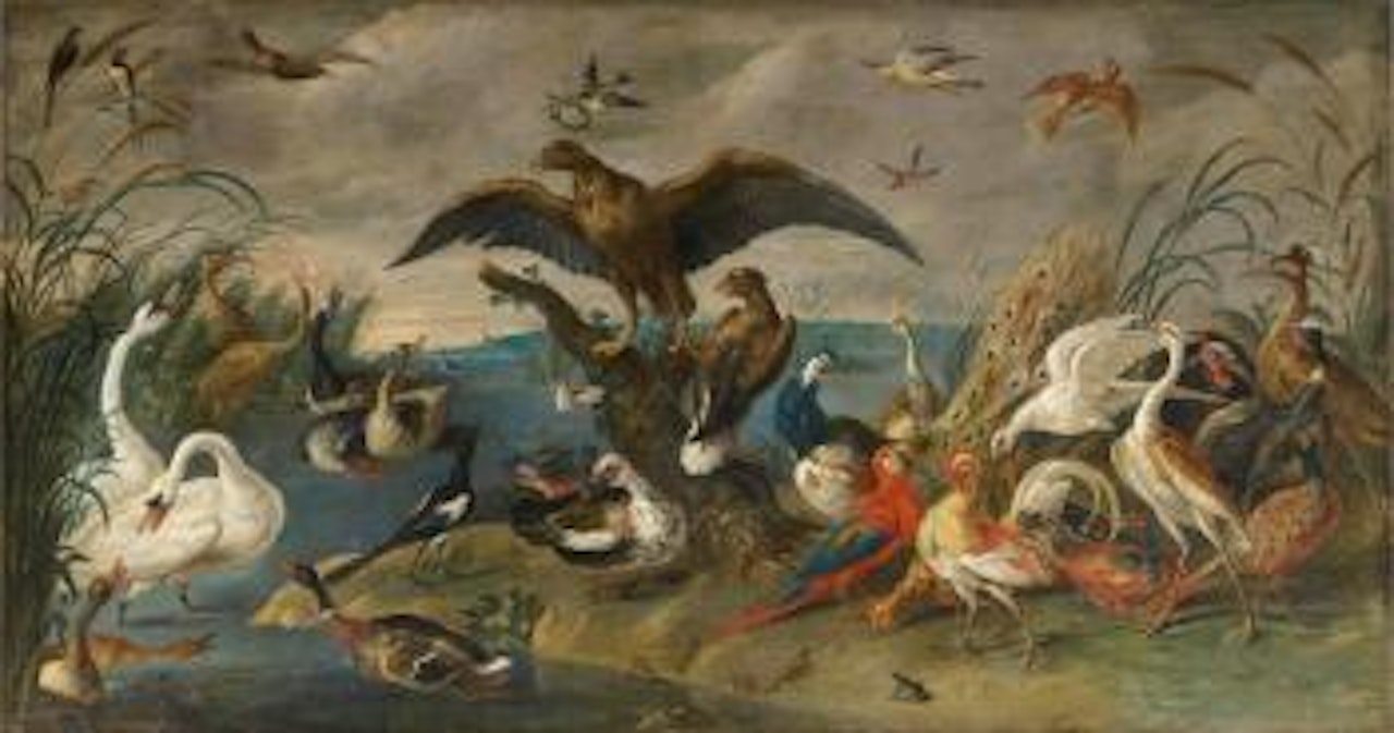 The coronation of the kng of the birds by Jan Van Kessel The Elder