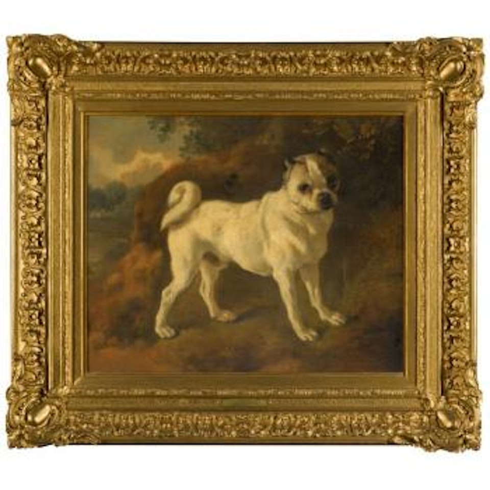 A Pug by Thomas Gainsborough