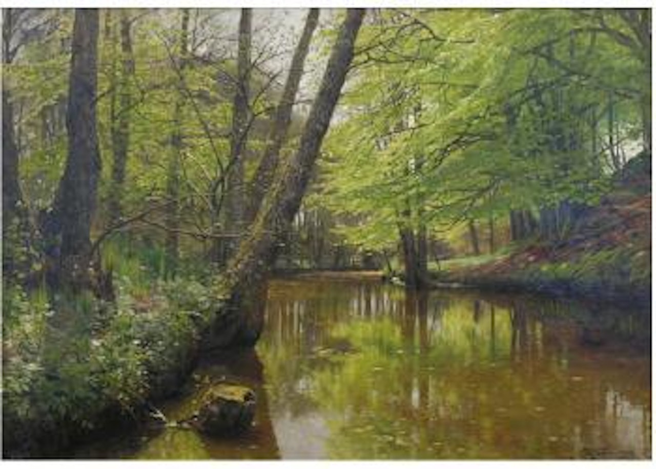 Riviere en sous bois by Peder Mork Monsted