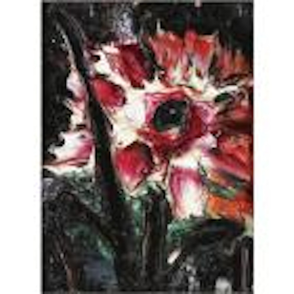 Red Flower by Thanos Tsingos