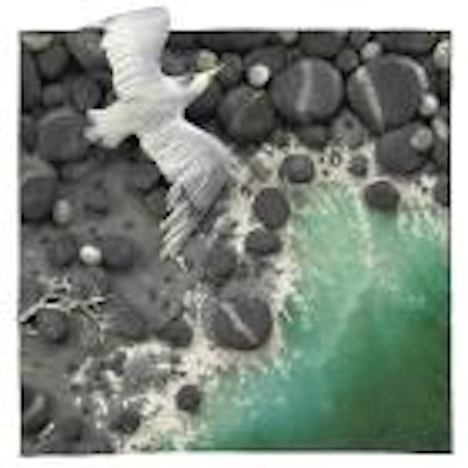 Bagnasciuga by Piero Gilardi