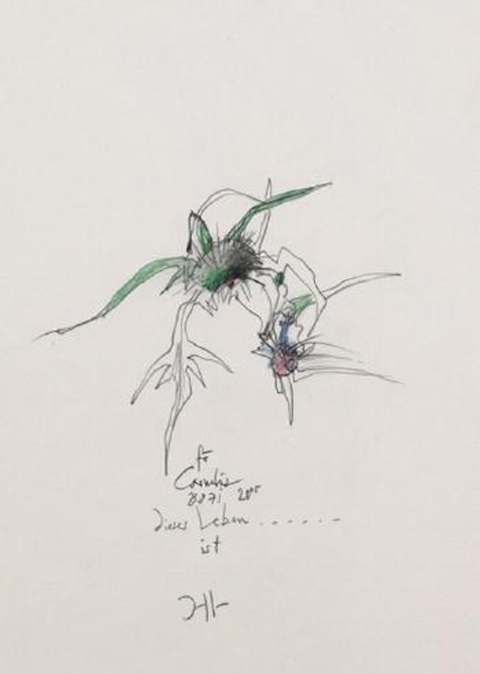Fur Cornelia by Horst Janssen