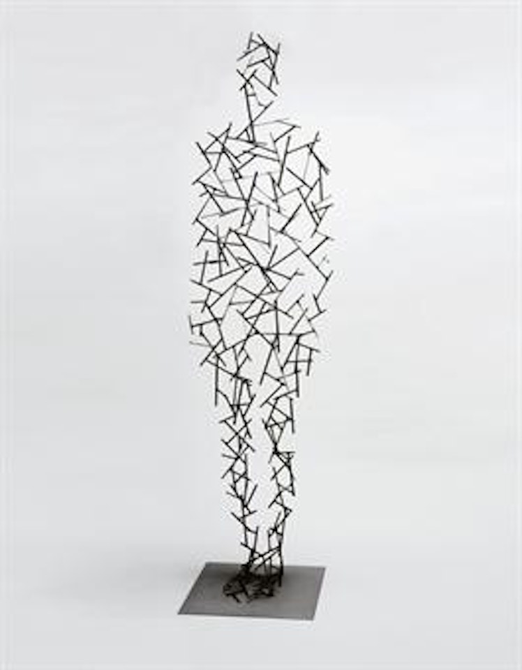Domain XXII by Antony Gormley