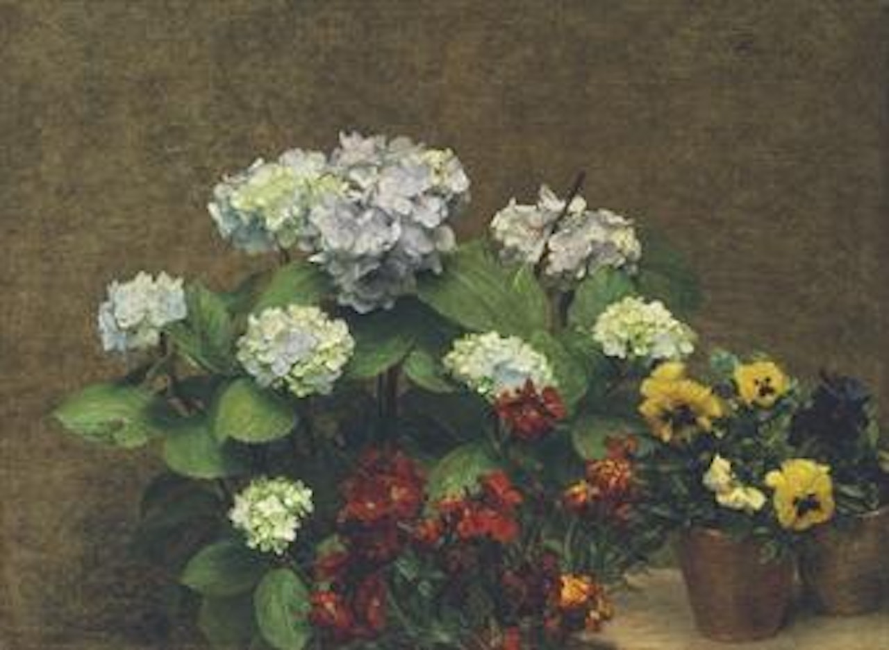 Fleurs (Hortensias, giroflées, deux pots de pensées) by Henri Fantin-Latour