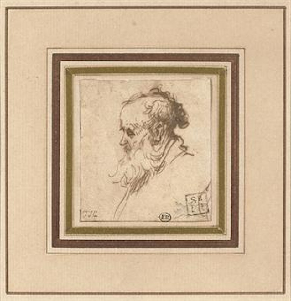 Head of a bearded man in profile to the left by Attributed to Rembrandt Harmensz van Rijn
