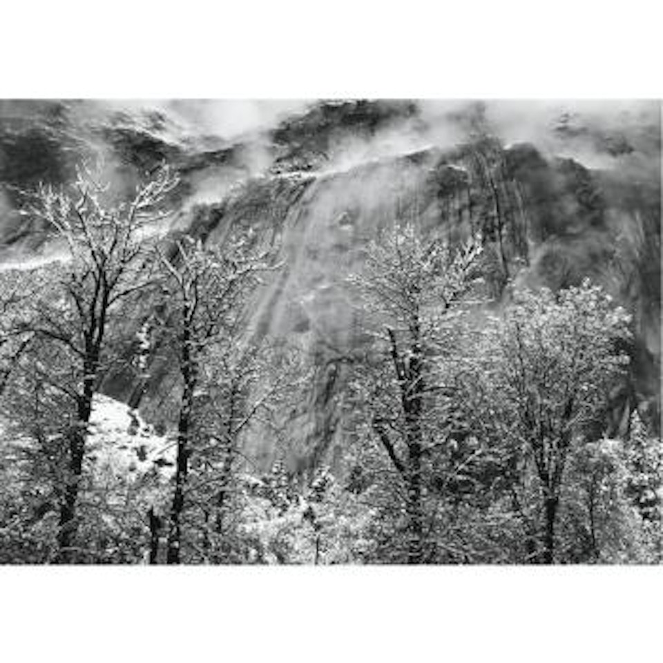 Trees And Cliffs Of Eagle Peak, Winter, Yosemite Valley, California by Ansel Adams