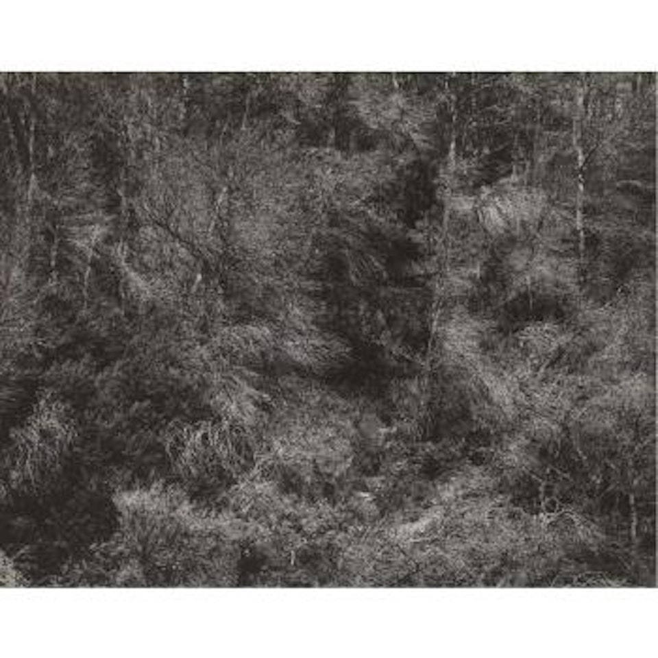 Aix En Provence, France by Harry Callahan