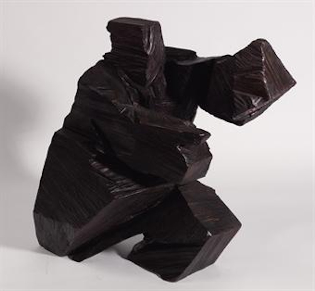 Taiji Series - Enter Taiji by Ju Ming