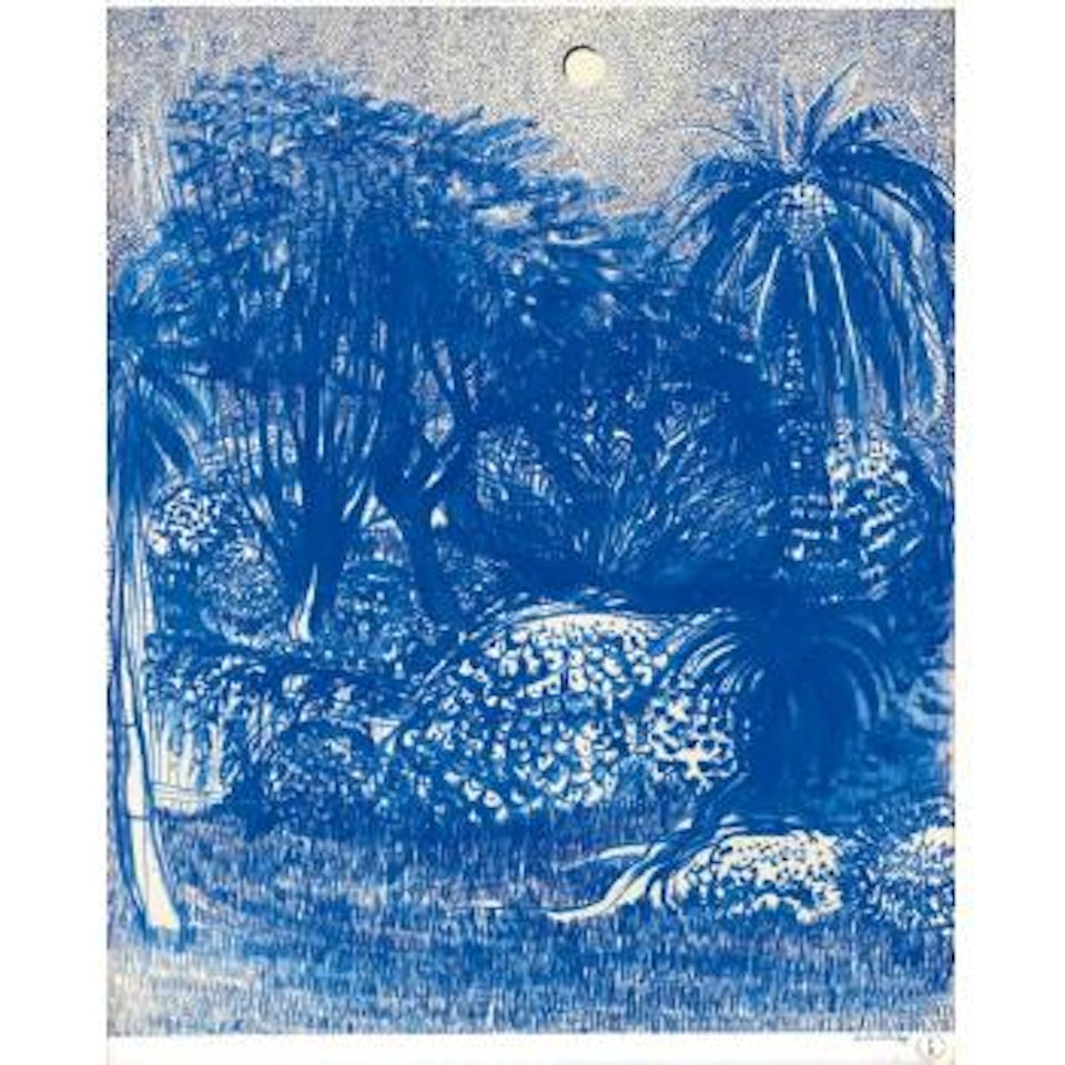 Staring At The Garden After Looking At The Sun For A Minute by Brett Whiteley