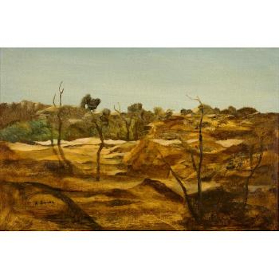 Riverbed Cape York by Ray Austin Crooke