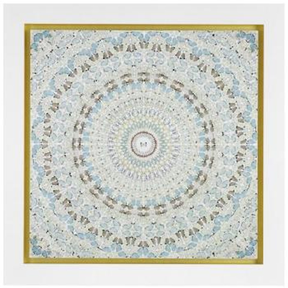Paradise by Damien Hirst