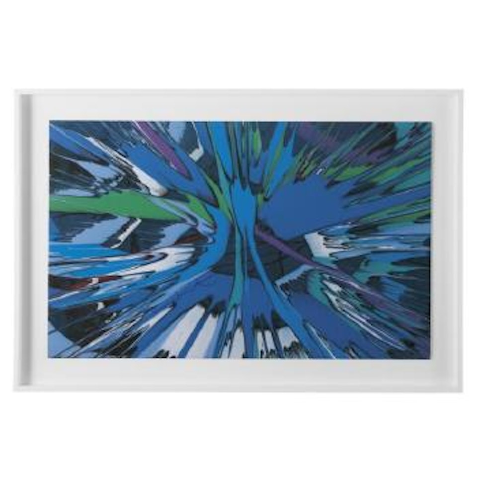 Beautiful Birthing Spin by Damien Hirst