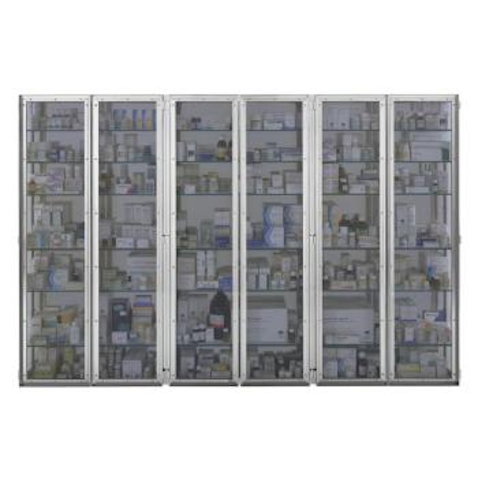 End Of The Line by Damien Hirst