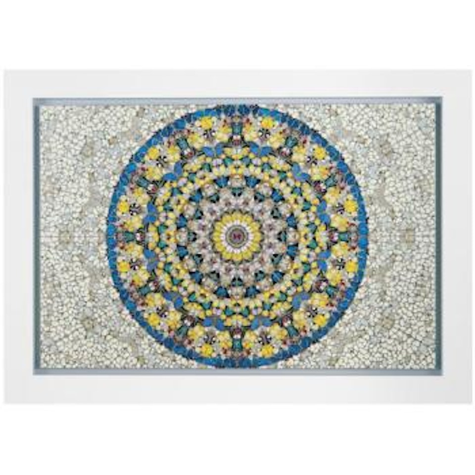 Ascended by Damien Hirst