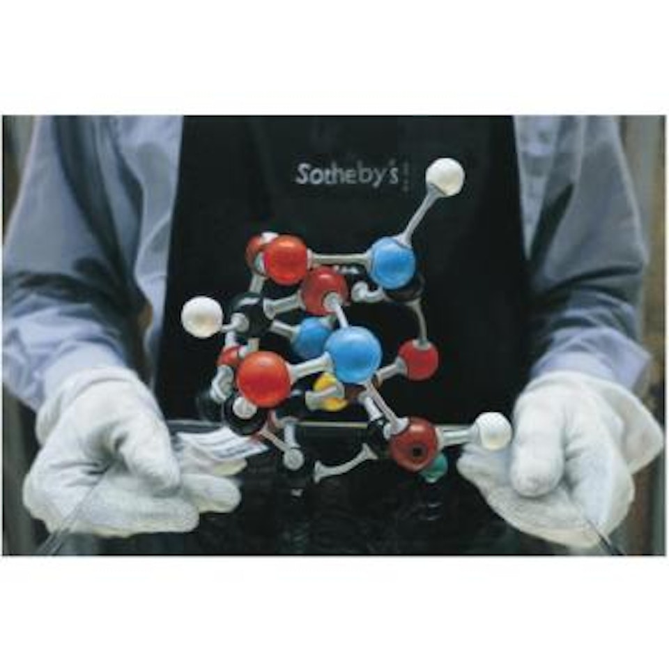 Molecular Model by Damien Hirst